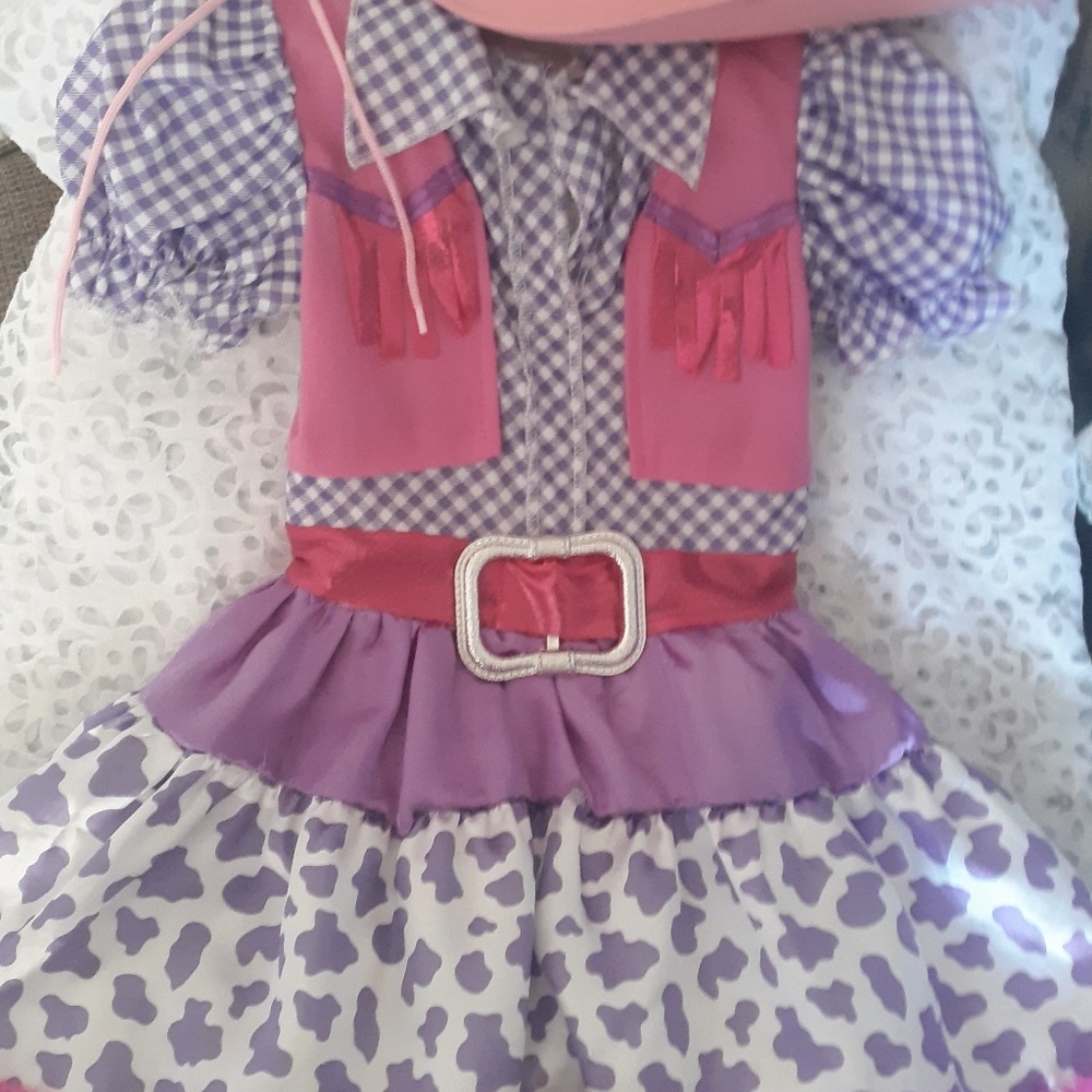 Cowgirl costume